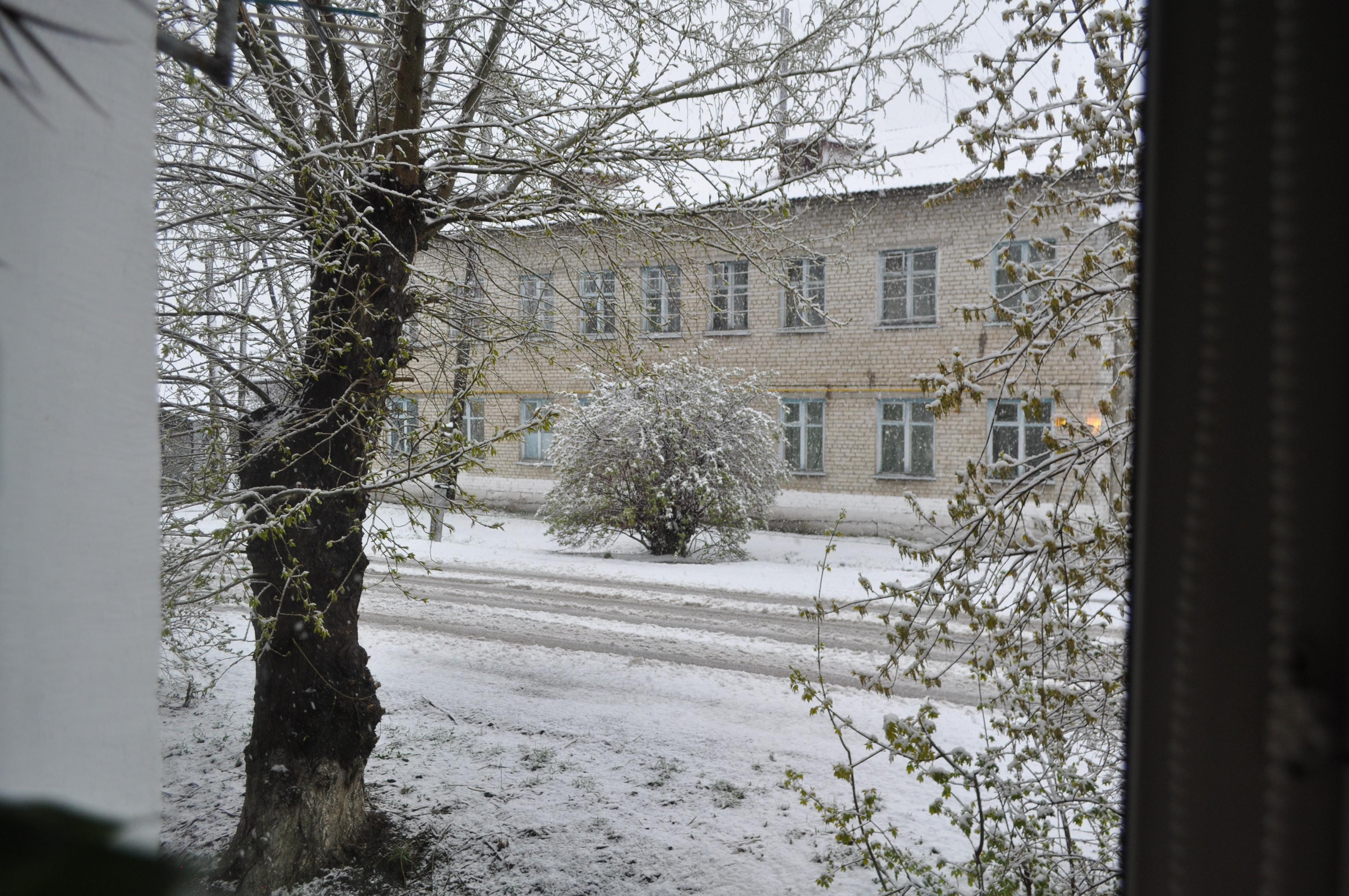 DSC_02.JPG