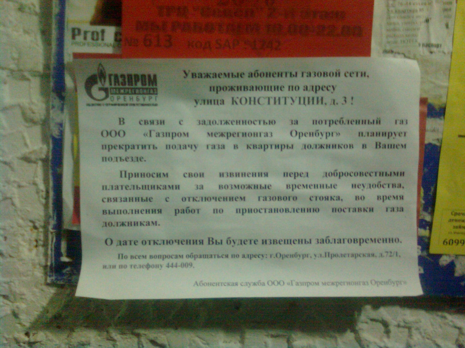 Foto1014.jpg