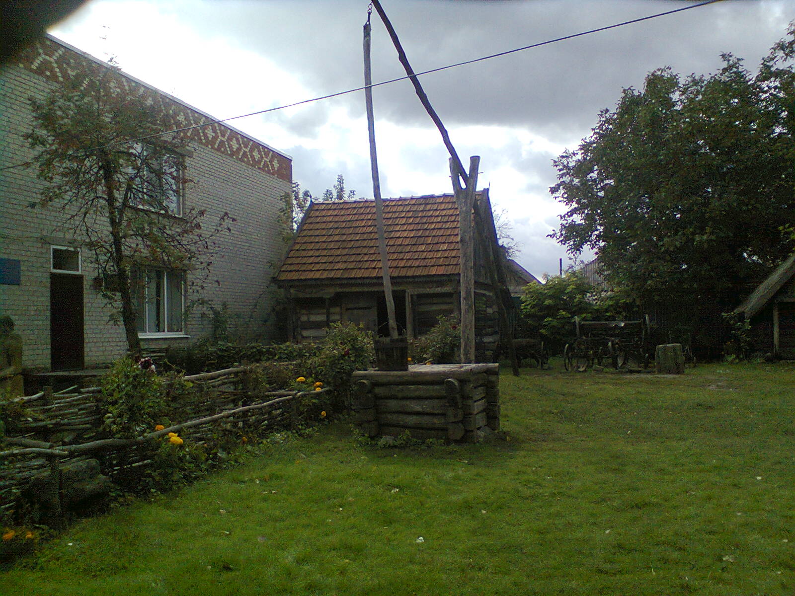 Foto1354.jpg