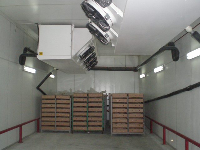Frozen_poultry_20_tons.JPG