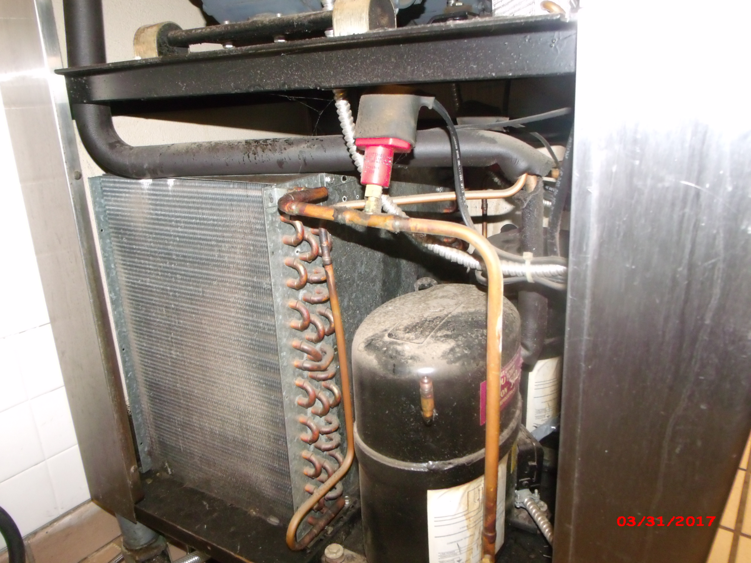 GEDC0023__2_.JPG