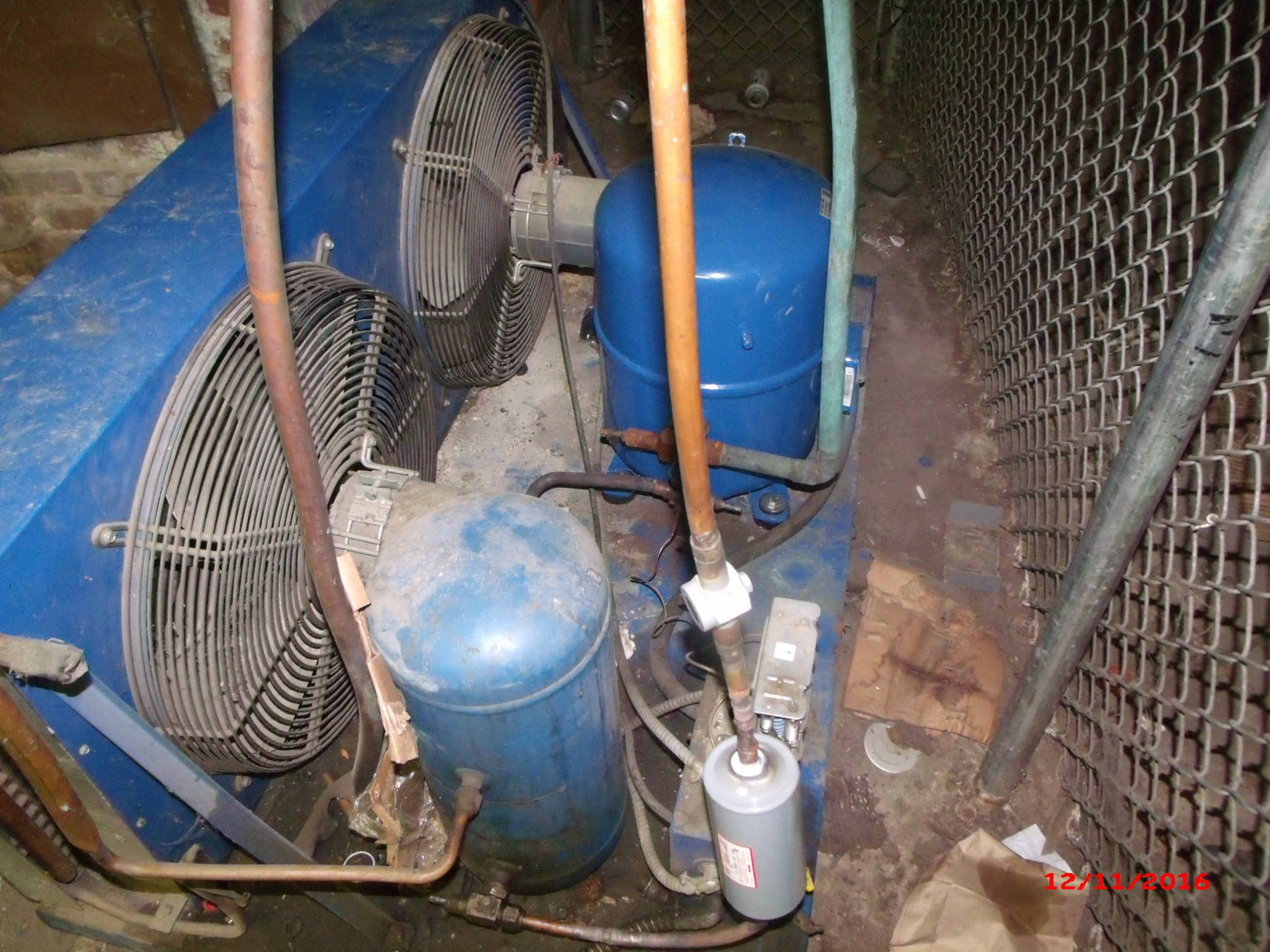 GEDC0074.JPG