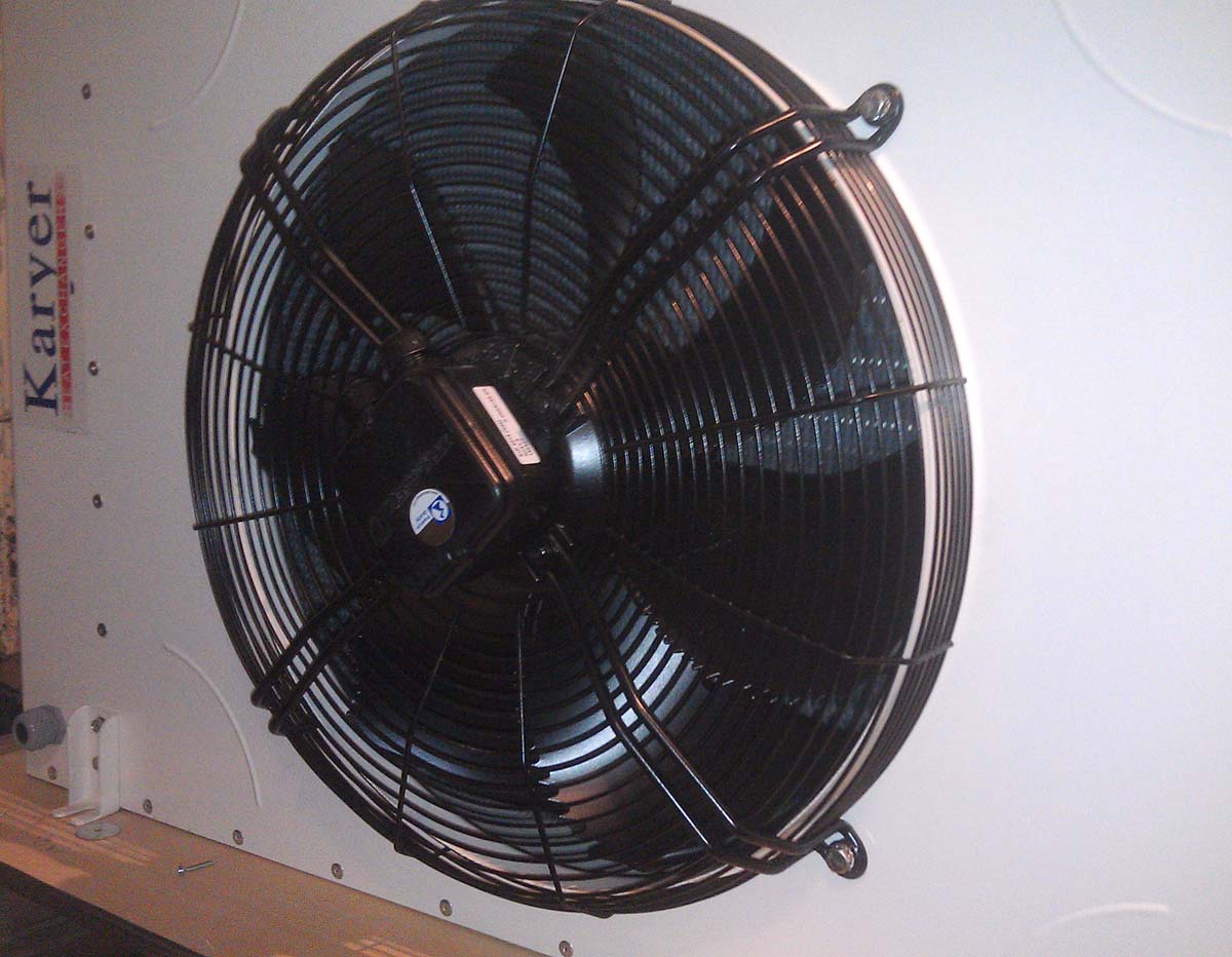 IMAG0509_.jpg