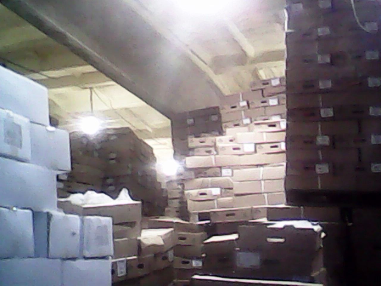 IMG0011A.jpg
