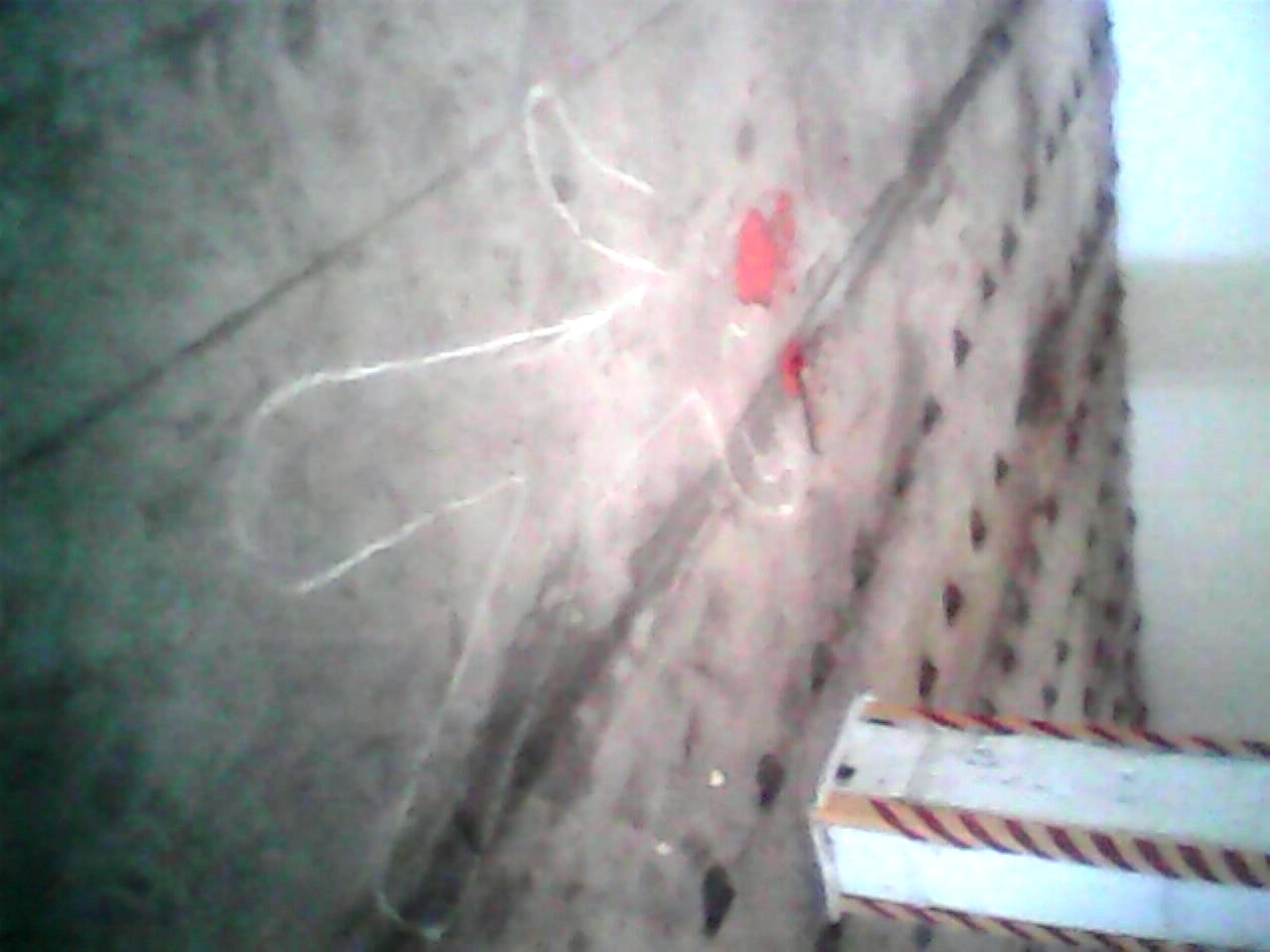 IMG0046A.jpg