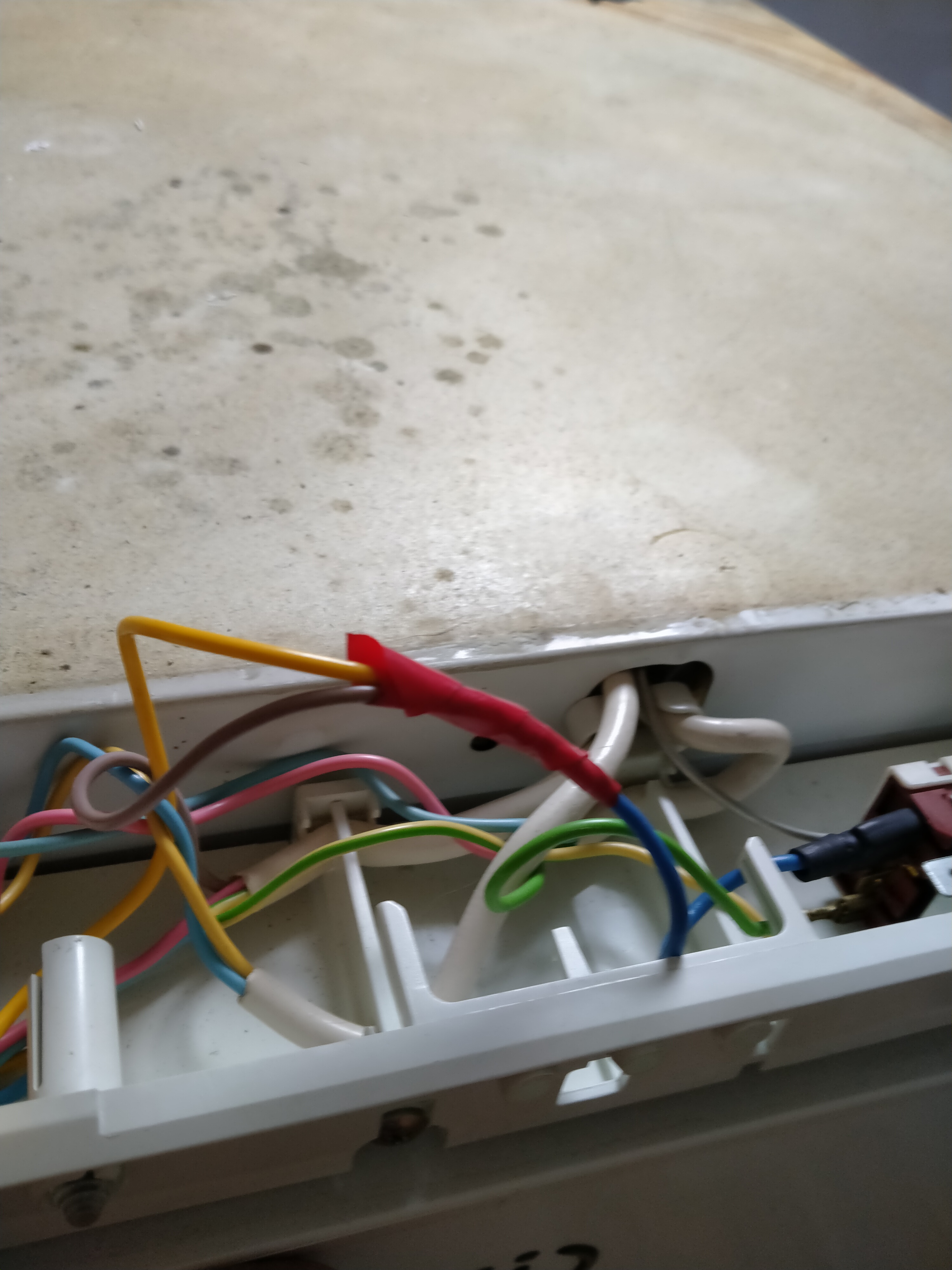IMG20241117152346.jpg