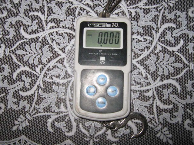 IMG_0728_1_.jpg