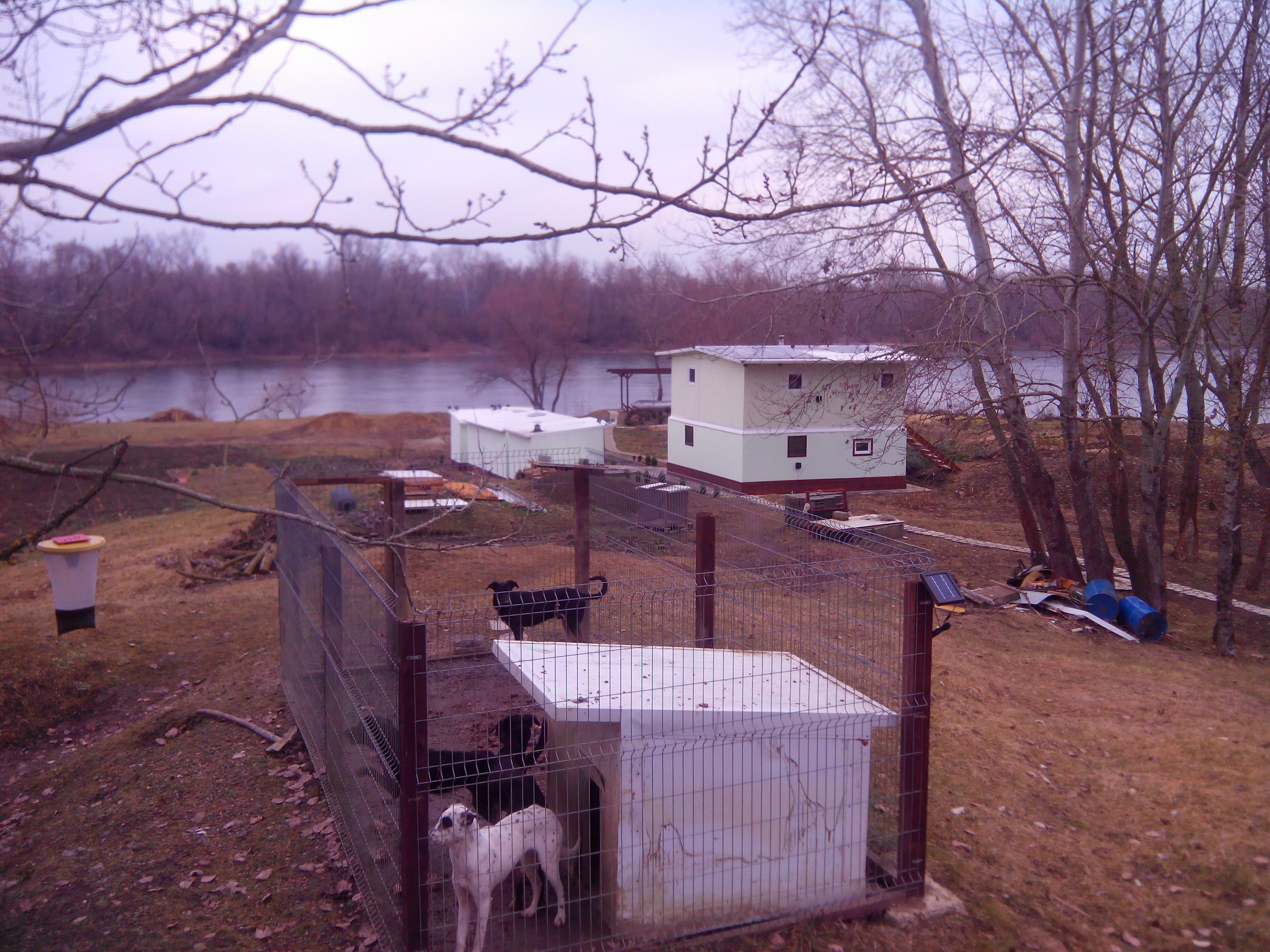 IMG_20140107_110734.jpg