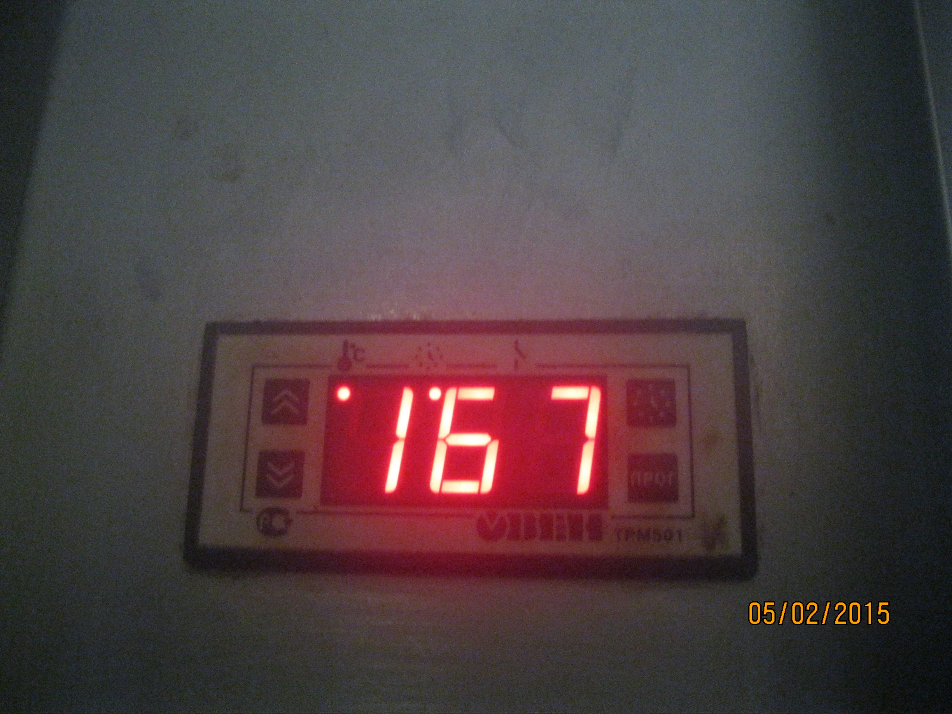 IMG_2774.JPG
