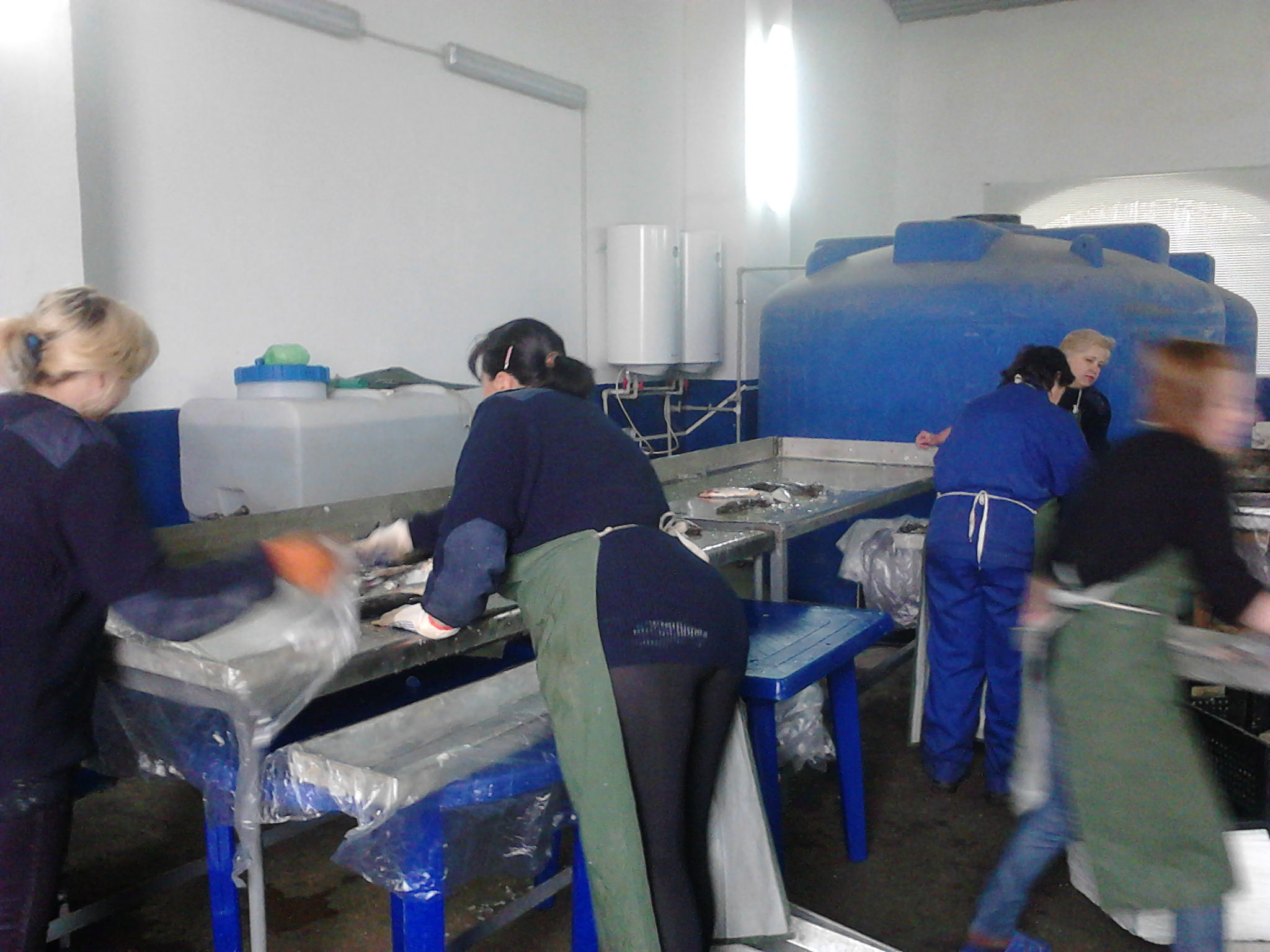 P02-05-11_09-59.jpg