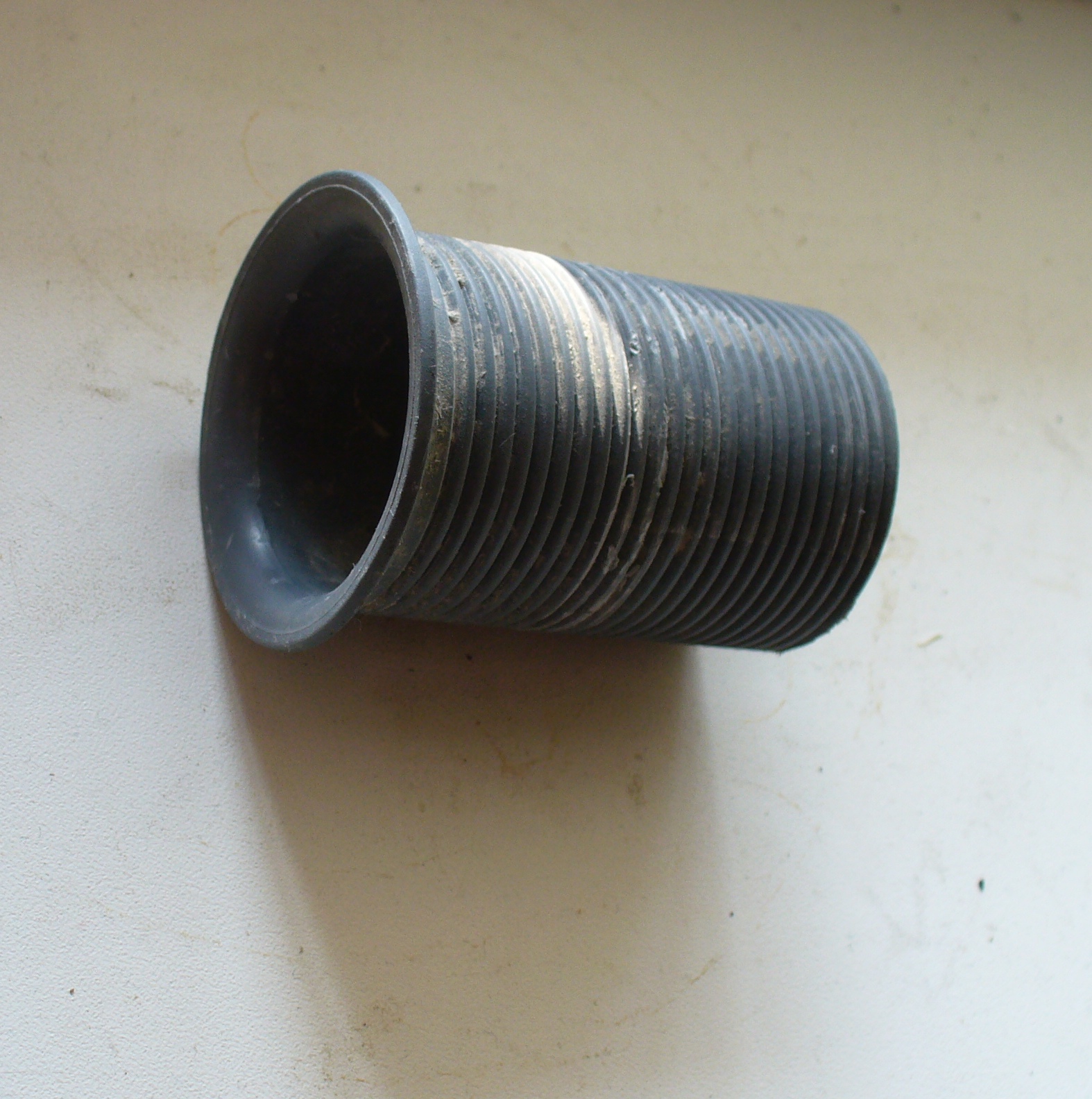 P1010038.JPG