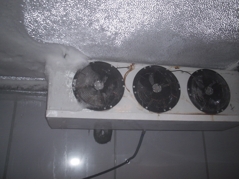 P1220032_01.jpg