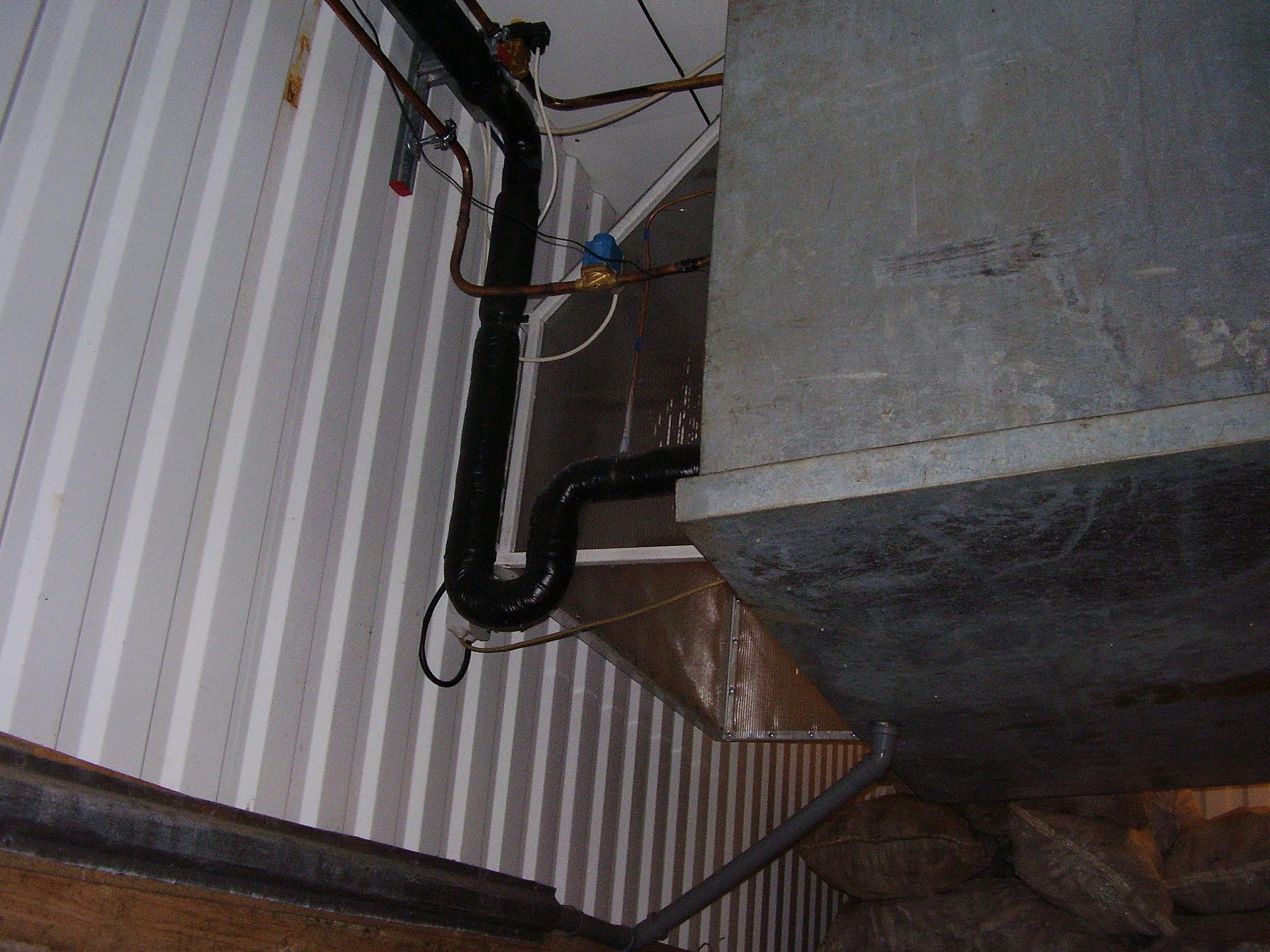 P127.JPG
