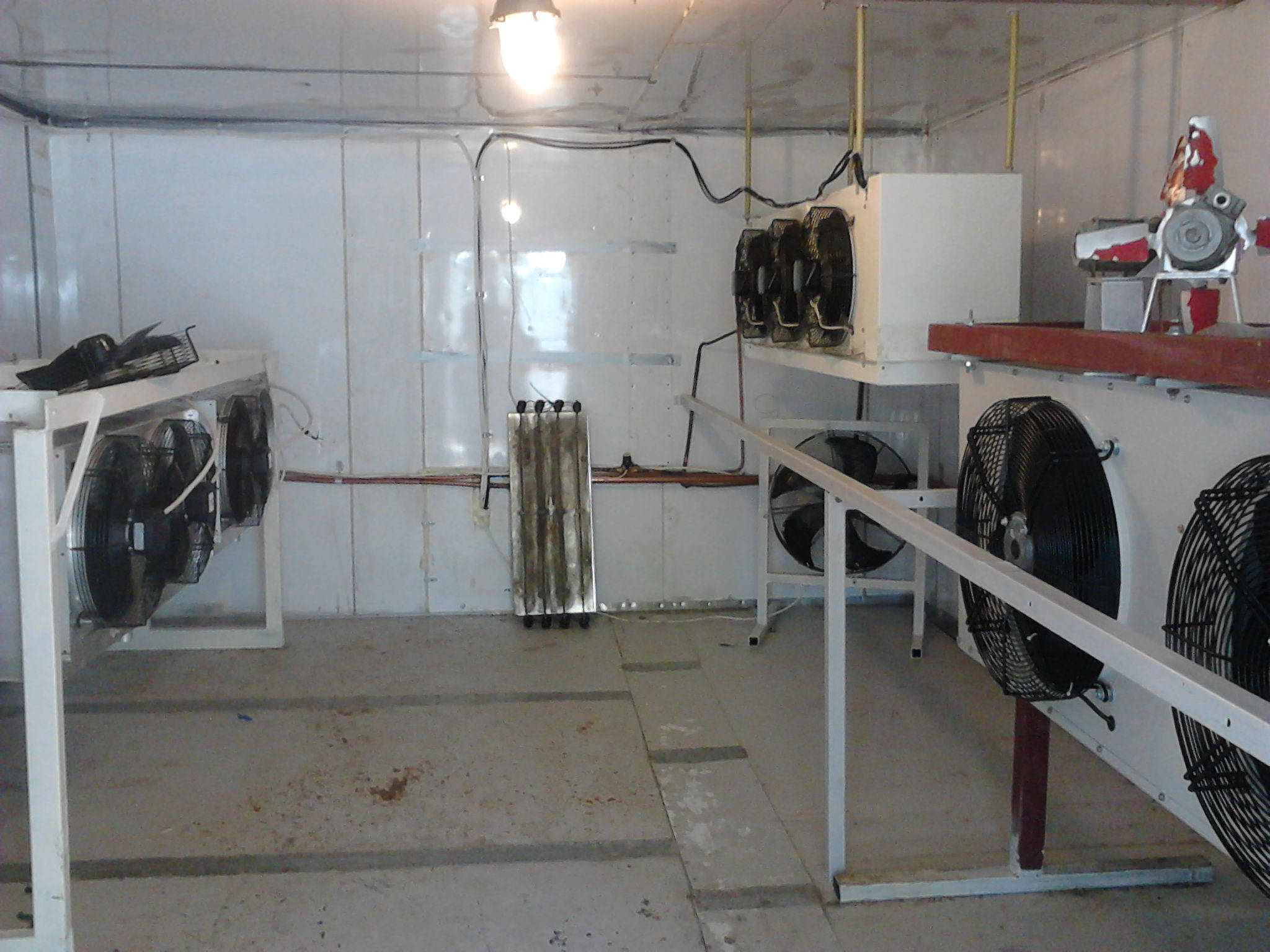 P19-06-13_12-08.jpg