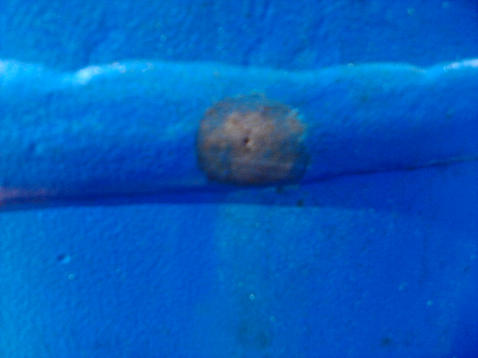 P28_5.jpg