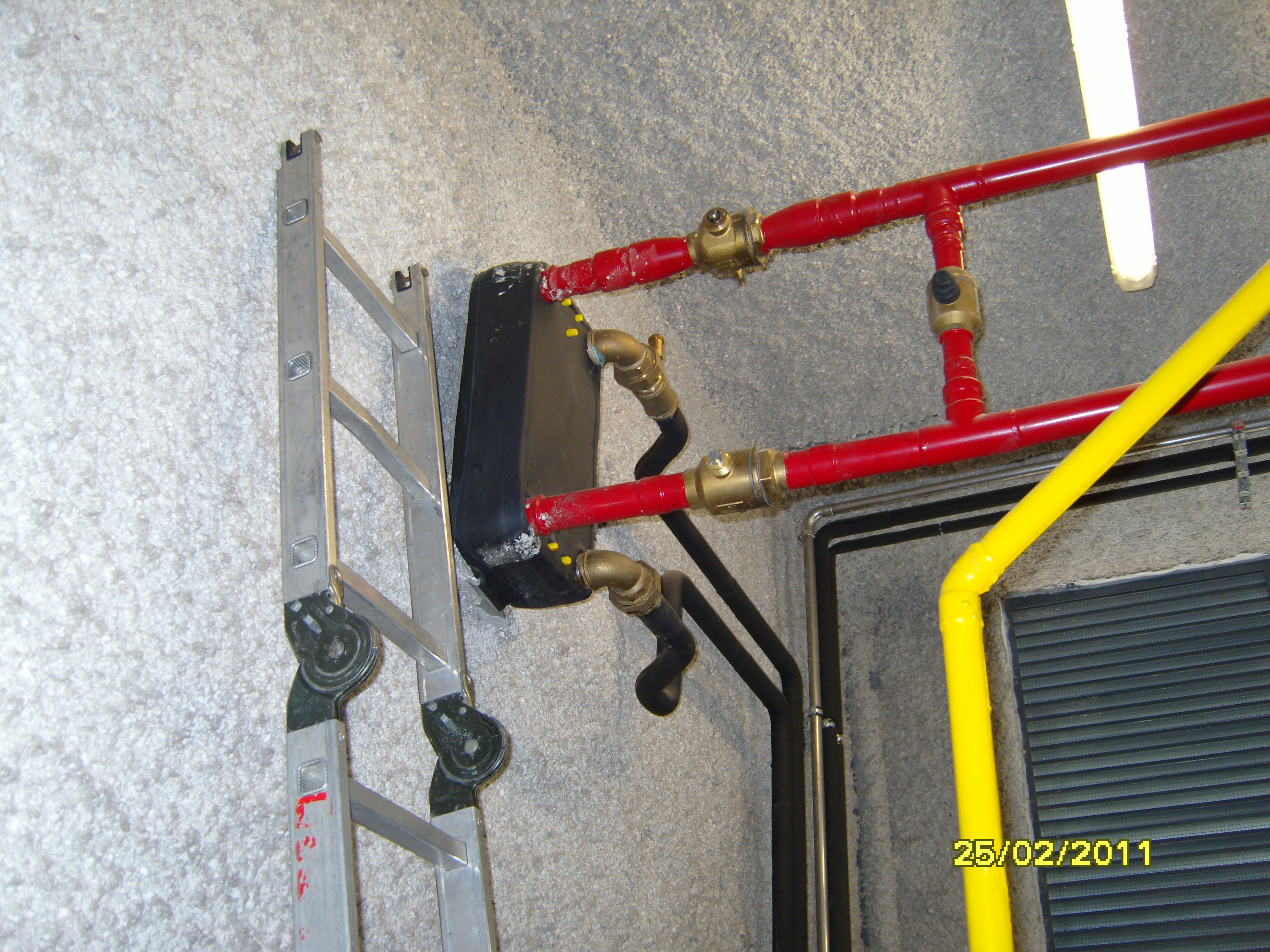 S1032205.JPG