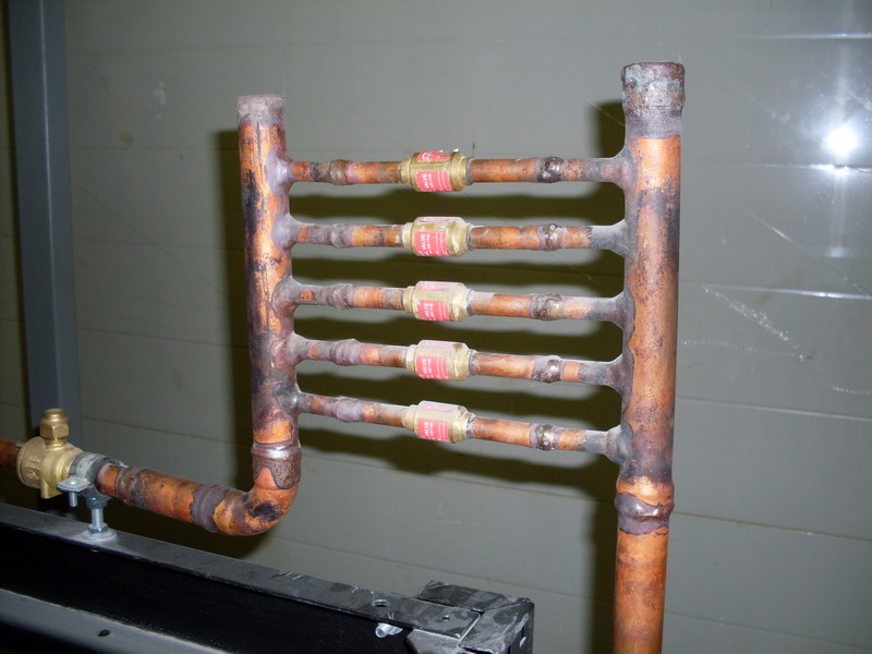 SDC10447.JPG