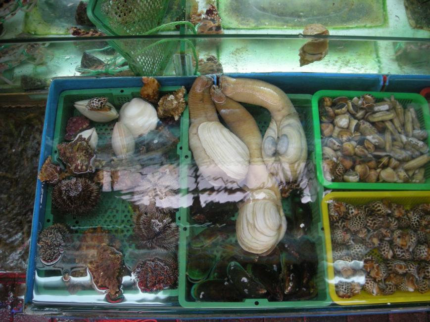 SOME_TYPE_OF_SEAFOOD.jpg