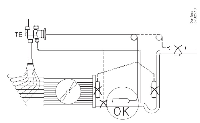 TE5_001.jpg