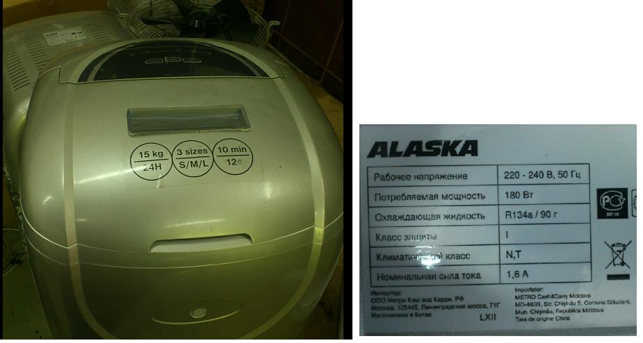 aljaska.JPG