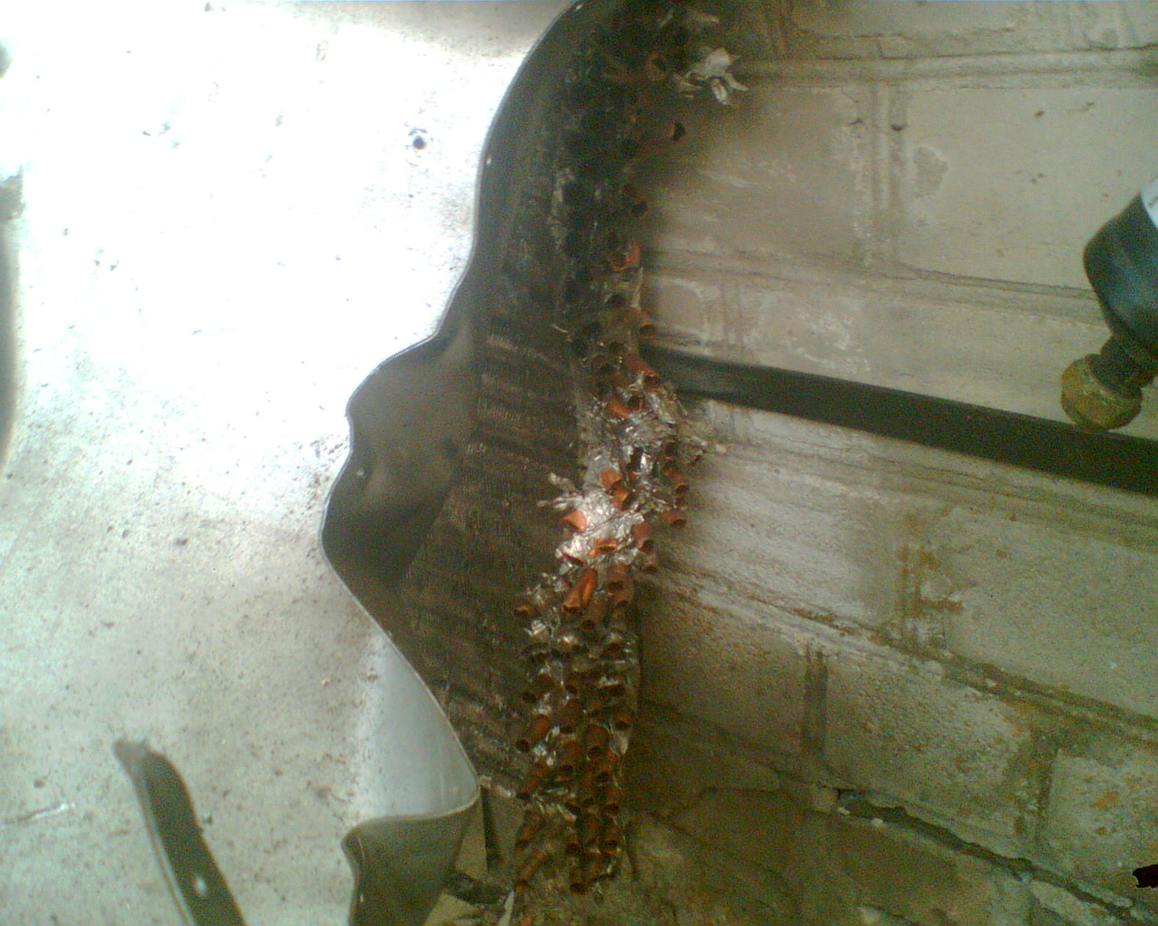 attachment3.jpg