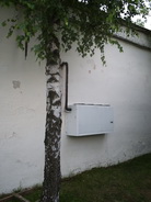 birch_or_split.jpg