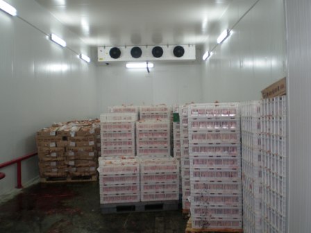 cooling_poultry_20_tons.JPG
