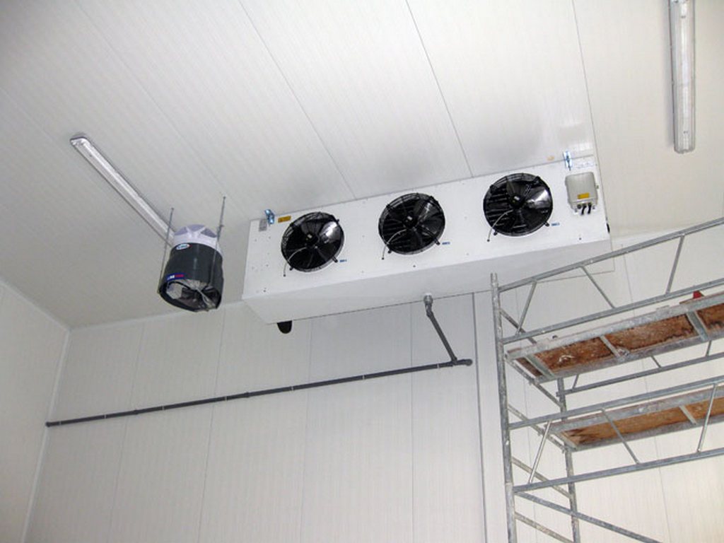 disk-humididier-in-coldroom.jpg
