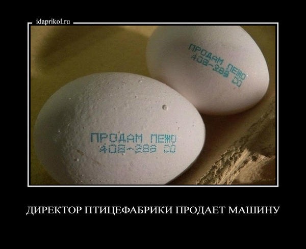 fotografija__2__001.JPG