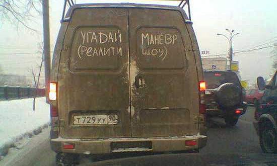 gazel2.jpg