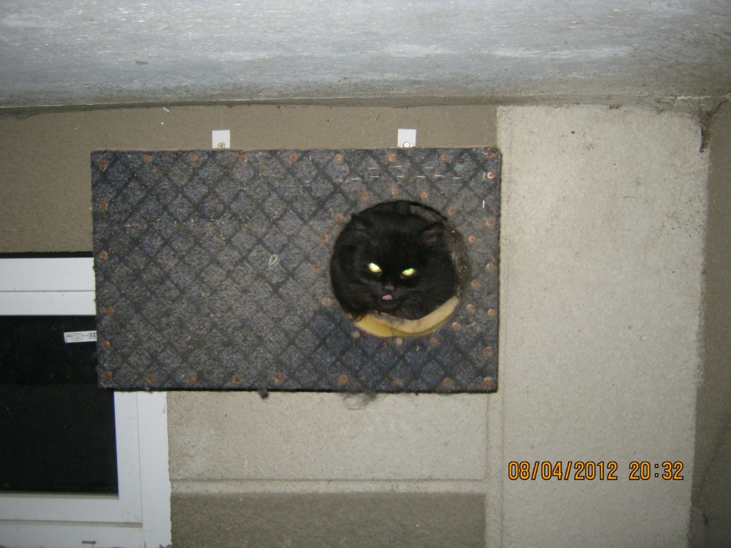 kit.JPG