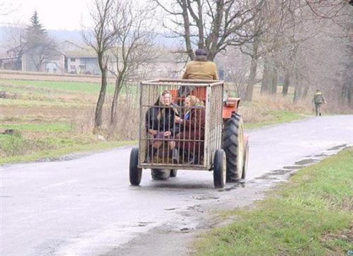 kletka.jpg