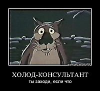 m9zvkhdciz4c.jpg