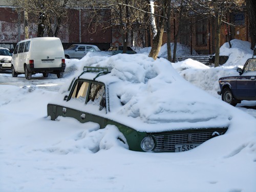 podsnezhnik.jpeg
