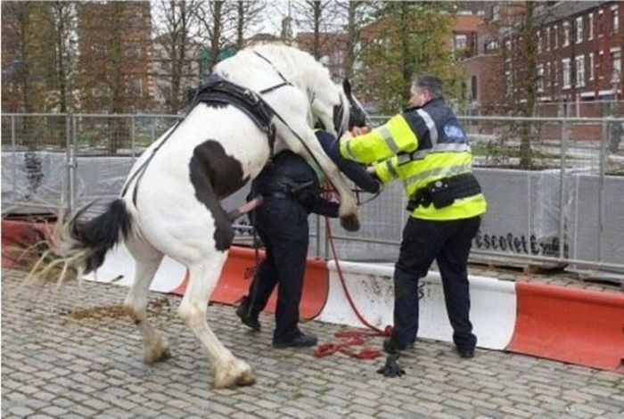 police2_01.jpg