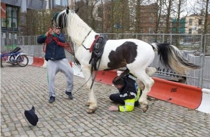 police2_02.jpg