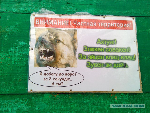 post-3-13271565529075.jpg