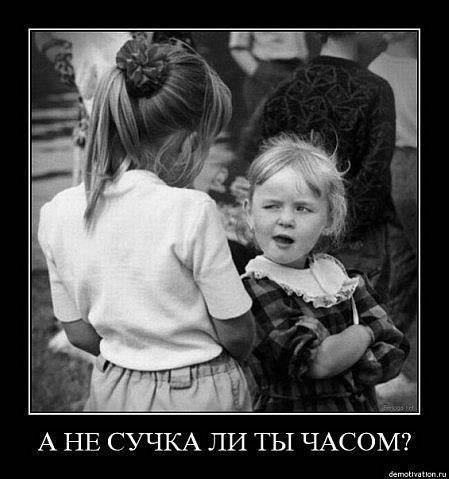 suchka_n.jpg