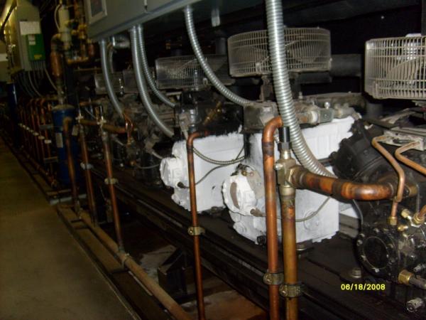 user7531_pic382_1222847614.jpg